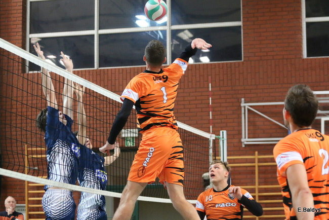 Siatkarze z kompletem (zdjęcia)