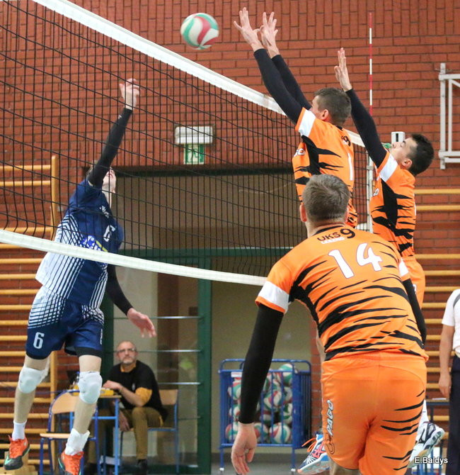 Siatkarze z kompletem (zdjęcia)