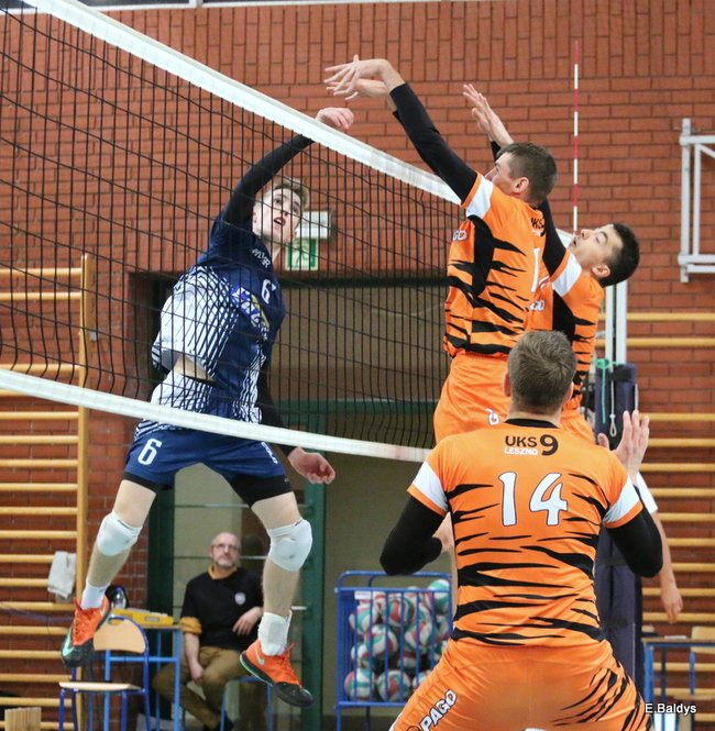 Siatkarze z kompletem (zdjęcia)