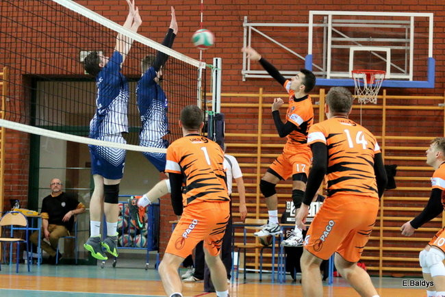 Siatkarze z kompletem (zdjęcia)