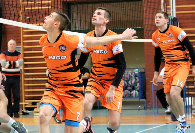 Siatkarze z kompletem (zdjęcia)