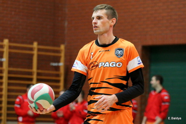 Siatkarze z kompletem (zdjęcia)