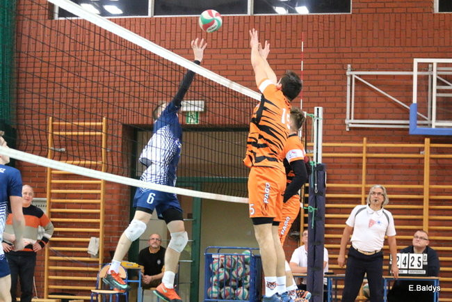 Siatkarze z kompletem (zdjęcia)