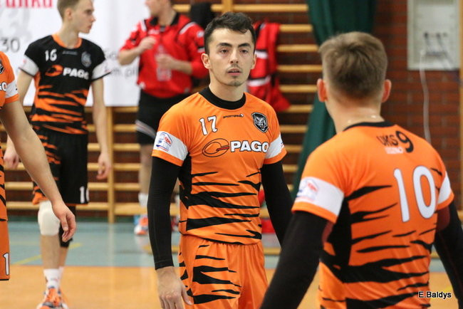 Siatkarze z kompletem (zdjęcia)