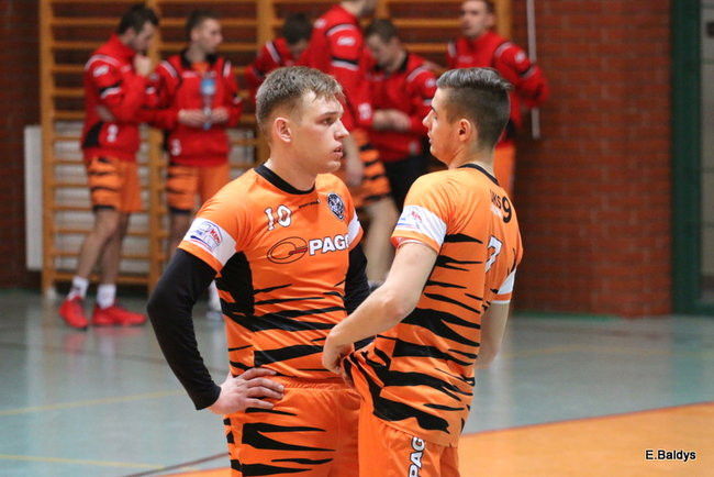 Siatkarze z kompletem (zdjęcia)