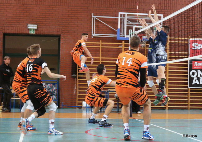 Siatkarze z kompletem (zdjęcia)