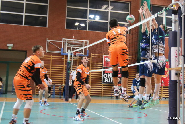 Siatkarze z kompletem (zdjęcia)