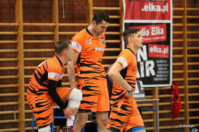 Siatkarze z kompletem (zdjęcia)