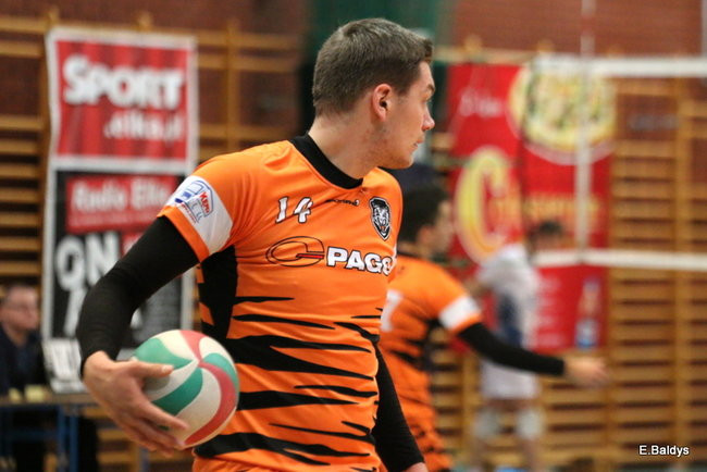 Siatkarze z kompletem (zdjęcia)