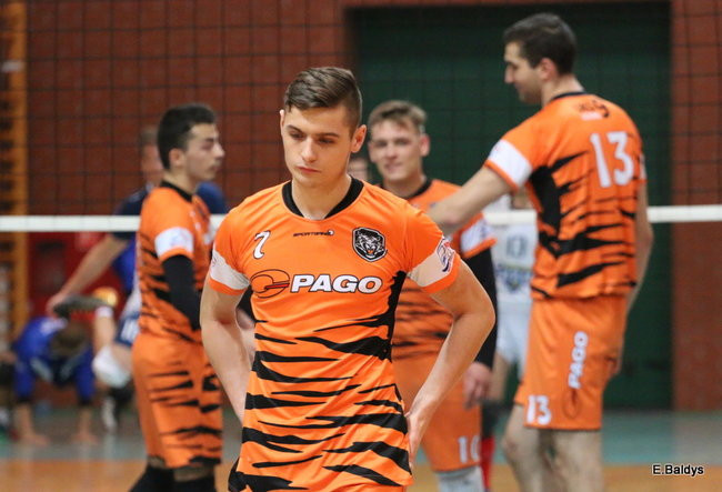 Siatkarze z kompletem (zdjęcia)