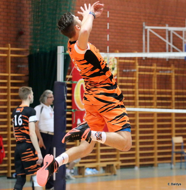 Siatkarze z kompletem (zdjęcia)