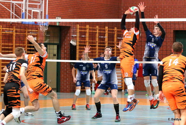 Siatkarze z kompletem (zdjęcia)