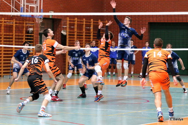 Siatkarze z kompletem (zdjęcia)