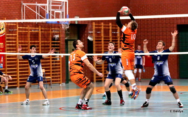 Siatkarze z kompletem (zdjęcia)