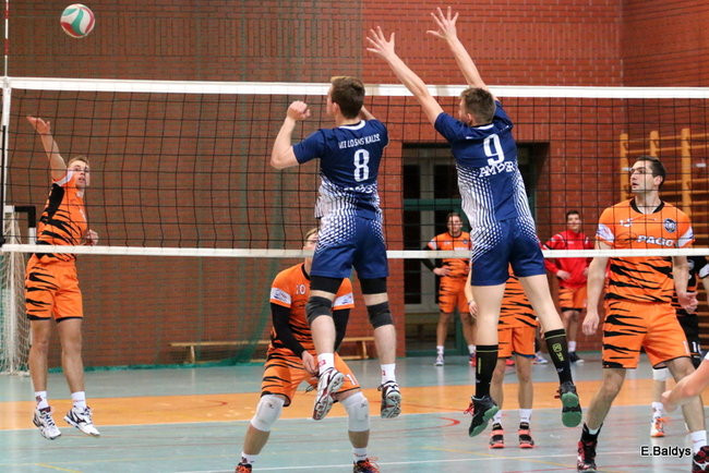 Siatkarze z kompletem (zdjęcia)