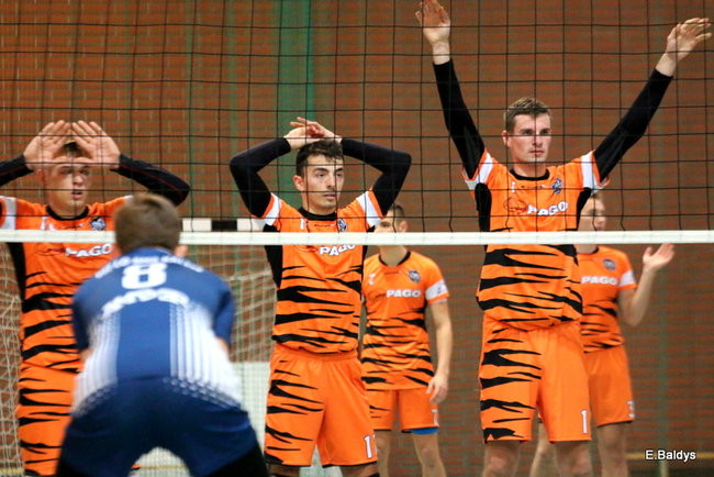 Siatkarze z kompletem (zdjęcia)