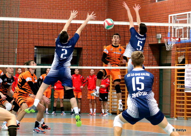 Siatkarze z kompletem (zdjęcia)