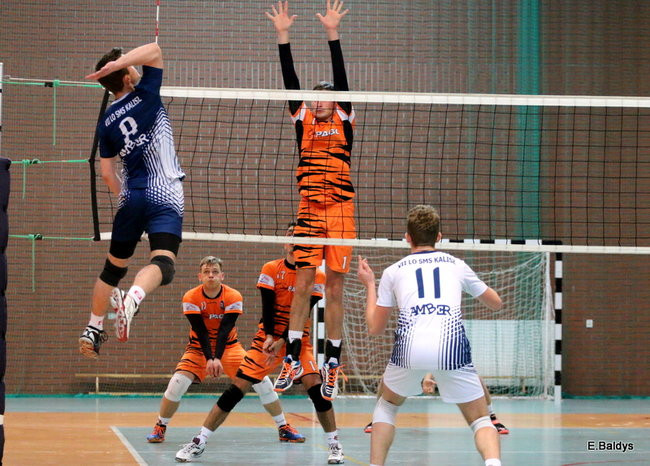 Siatkarze z kompletem (zdjęcia)