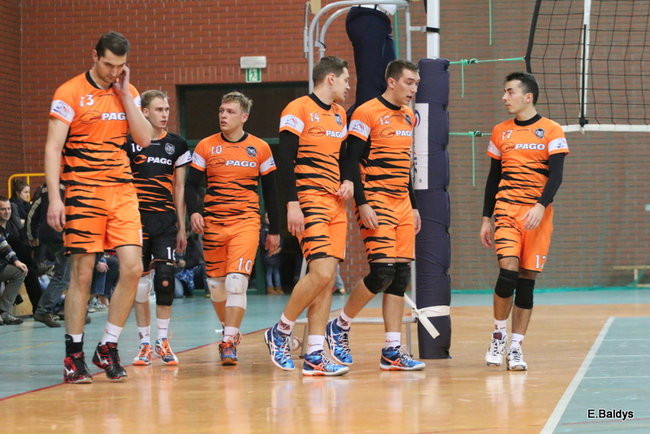 Siatkarze z kompletem (zdjęcia)