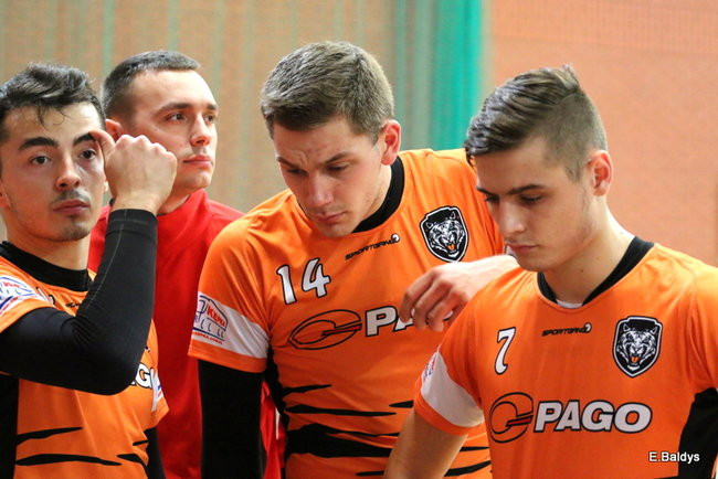 Siatkarze z kompletem (zdjęcia)