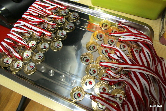 Pasowanie Krasnali i Biedronek w PM 19 (zdjęcia)