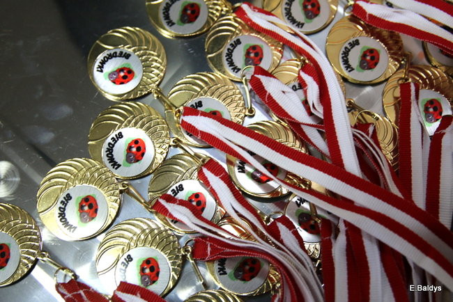 Pasowanie Krasnali i Biedronek w PM 19 (zdjęcia)