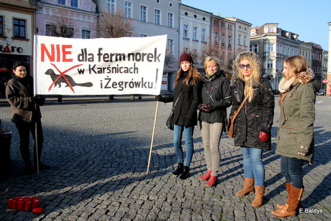 Nie dla futer! (zdjęcia)