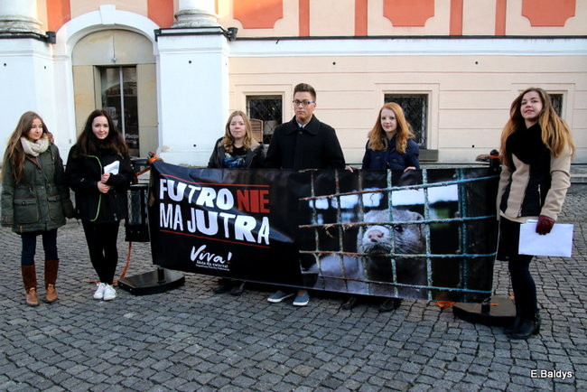 Nie dla futer! (zdjęcia)