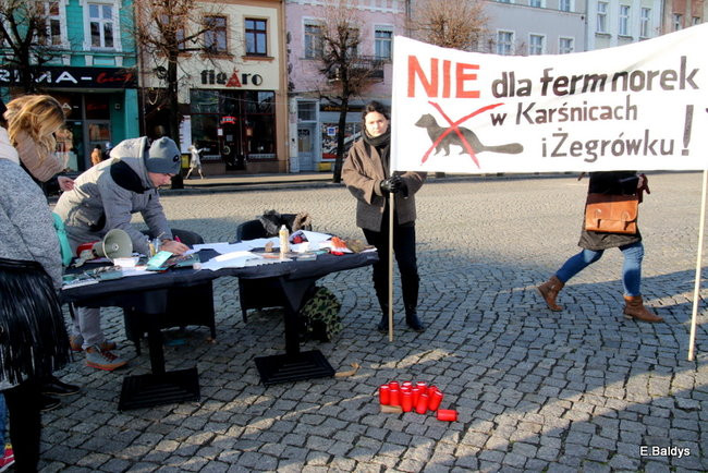 Nie dla futer! (zdjęcia)