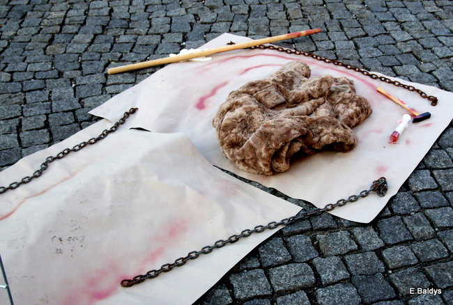 Nie dla futer! (zdjęcia)