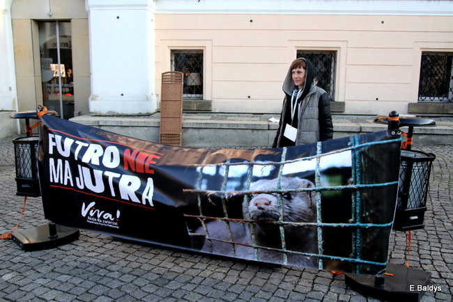 Nie dla futer! (zdjęcia)