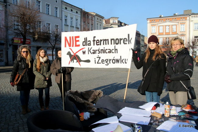 Nie dla futer! (zdjęcia)