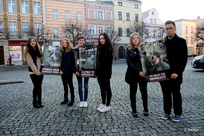 Nie dla futer! (zdjęcia)