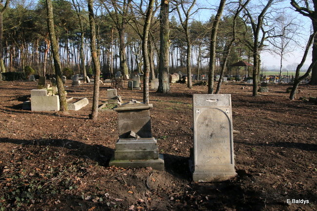 Tablice odsłonięte (zdjęcia)