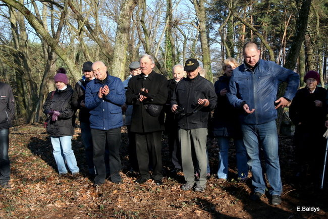 Tablice odsłonięte (zdjęcia)