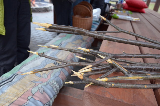 Pięćdziesięcioro nieustraszonych (zdjęcia)