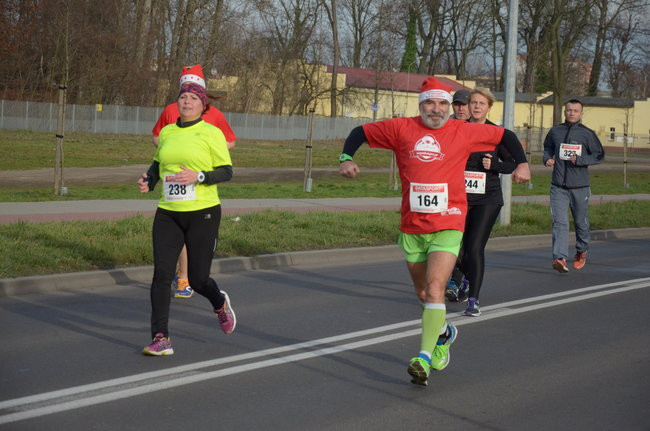 W wiosennym nastroju (zdjęcia)