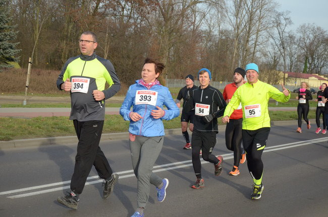 W wiosennym nastroju (zdjęcia)