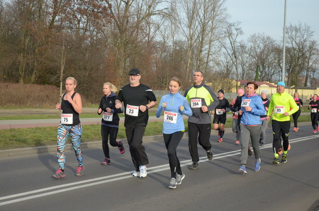 W wiosennym nastroju (zdjęcia)