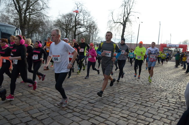 W wiosennym nastroju (zdjęcia)