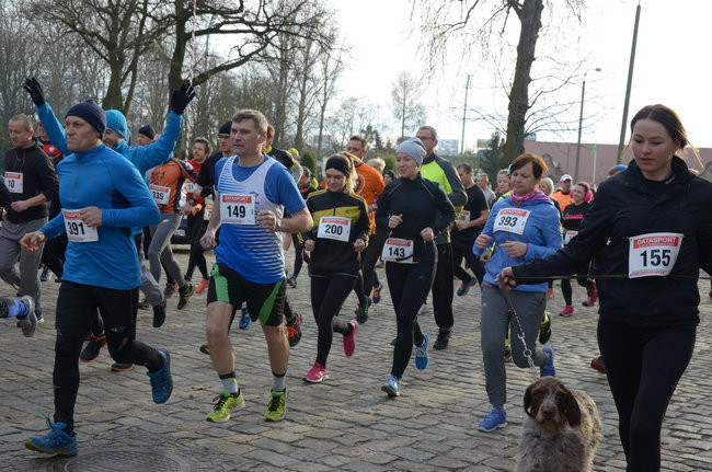 W wiosennym nastroju (zdjęcia)