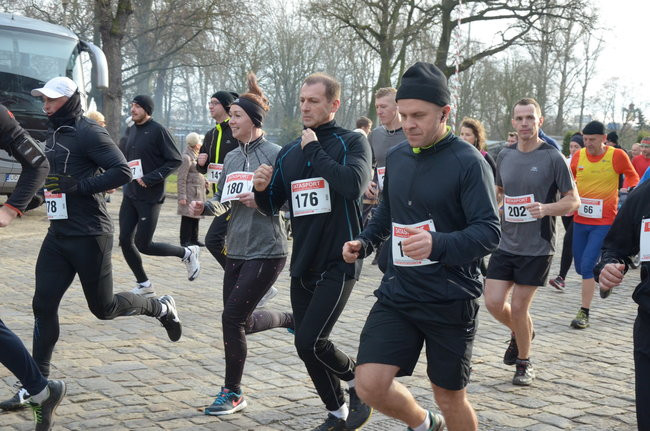 W wiosennym nastroju (zdjęcia)