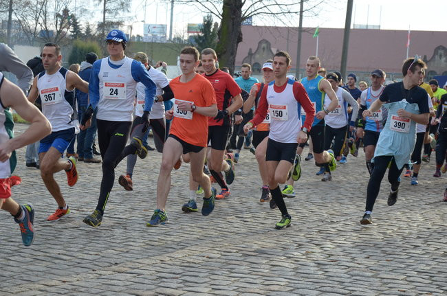 W wiosennym nastroju (zdjęcia)