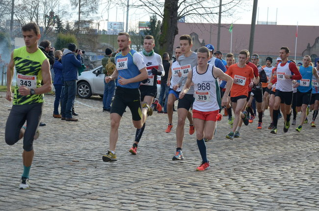 W wiosennym nastroju (zdjęcia)