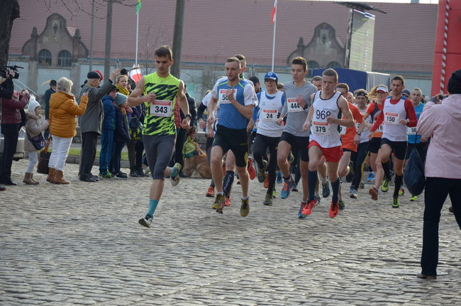 W wiosennym nastroju (zdjęcia)