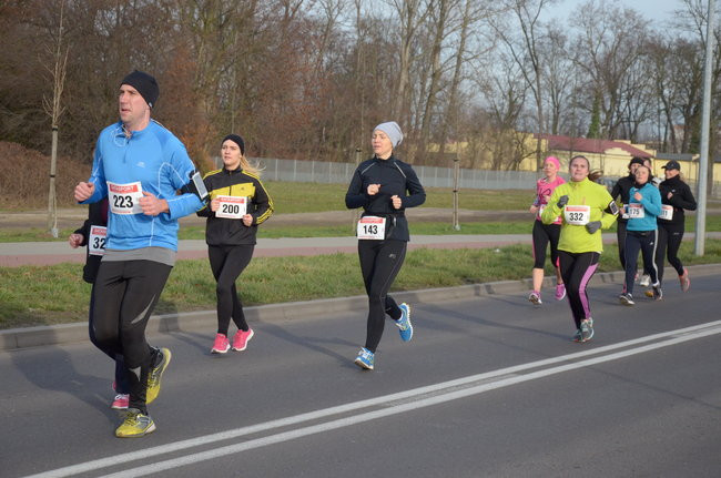 W wiosennym nastroju (zdjęcia)