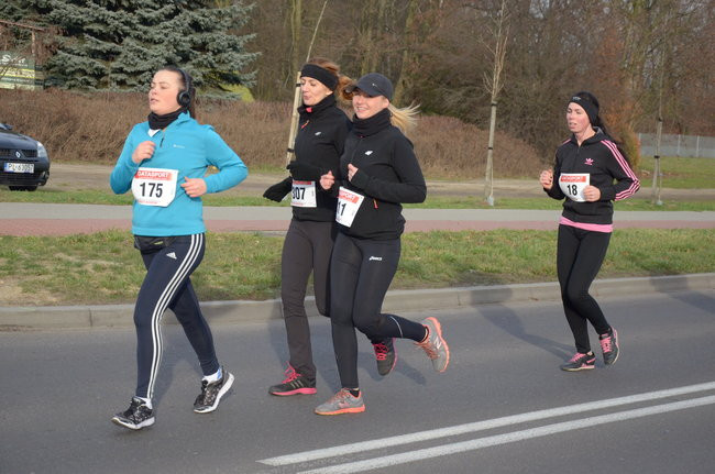 W wiosennym nastroju (zdjęcia)