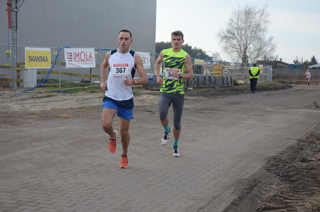 W wiosennym nastroju (zdjęcia)