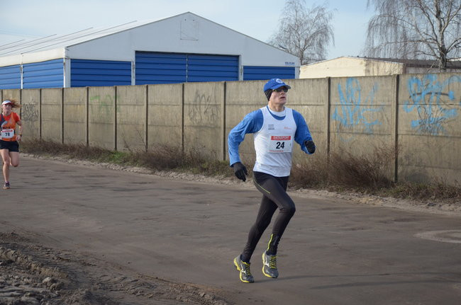 W wiosennym nastroju (zdjęcia)