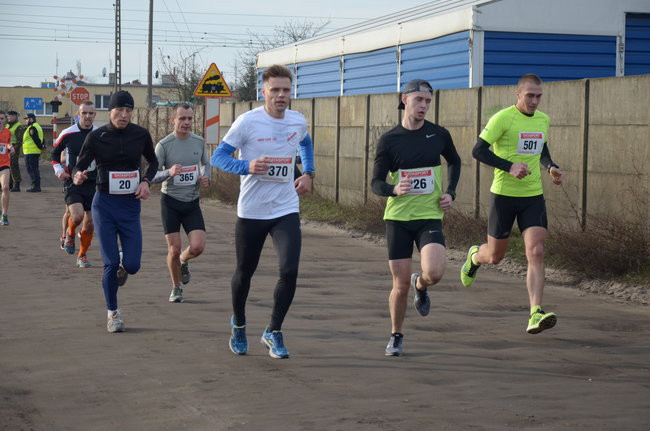 W wiosennym nastroju (zdjęcia)